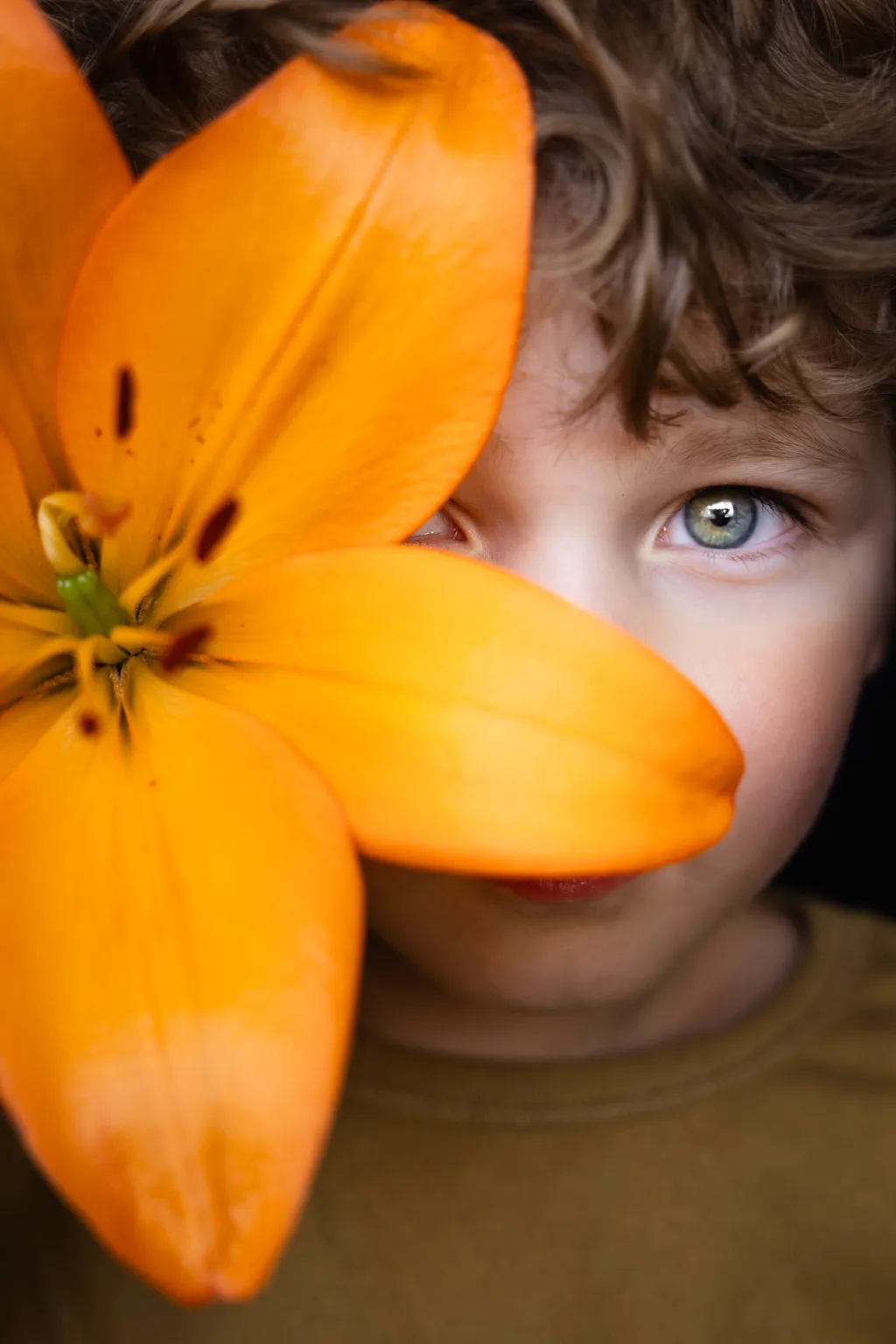 Photography showcase